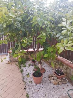 La Palma - Sperlonga - 6