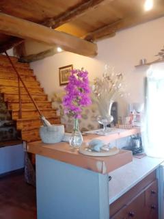 Sofia's farmhouse ( private) *Αγροτοσπιτο Σοφιας* - Mesongi - 3