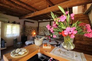 Sofia's farmhouse ( private) *Αγροτοσπιτο Σοφιας* - Mesongi - 1