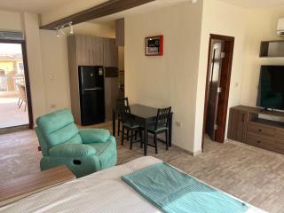 Premium Studio with a magnificent terrace in a secured serviced gated community - 2