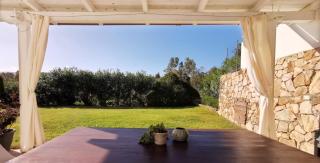 Green House - Siniscola - 9