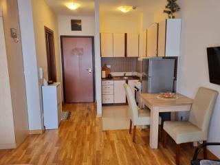 Studio apartment Vito - Podgorica - 9