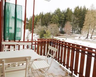 Kurhotel Schluchsee App 1511 - Schwarzwaldhirsch - mit Innenpool und Sauna, Schluchsee - 1