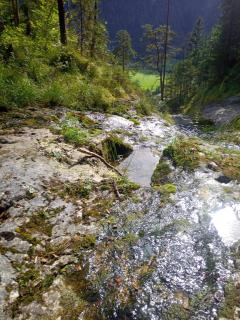 Appartement mit Hallenbad - Sankt Martin bei Lofer - 2