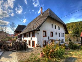 Schwarzwaldhaus Krebs - Peter Lustig, Lenzkirch, Feldberg - Lenzkirch - 8
