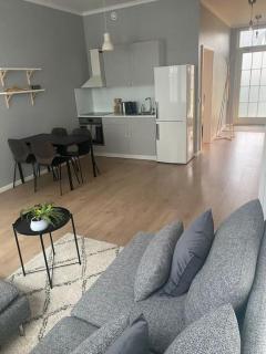 Modern Apt RVK City Center - Reykjavik - 6