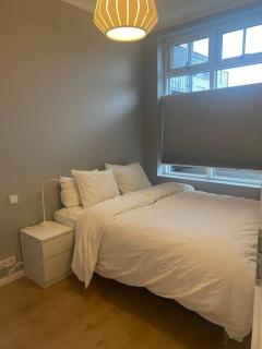Modern Apt RVK City Center - Reykjavik - 1
