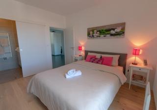 Appartement 90m2-Roof Top privé 100m2-Parking privé-Clim mobile - 6