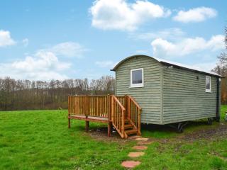 Badgers - Uk46750 - Herstmonceux - 8