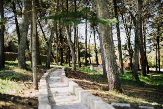 Trulli Pinacea - Martina Franca - 2