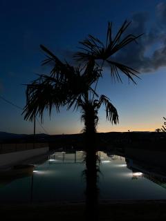 Anemolia Resort and Spa - Ioannina - 6