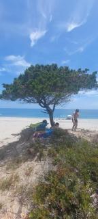 Casa Scirocco Sardegna - San Vito - 1