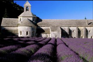 NOUVEAU - Le Clos Du Moulin 4 - Maison avec jardin près d'Avignon en Provence - Entraigues-sur-la-Sorgue - 4