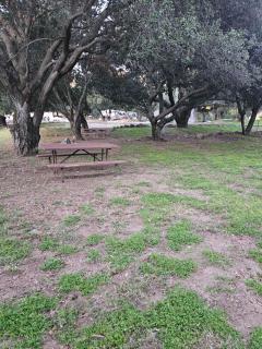 Oak Knoll Village - Palomar Mountain - 1