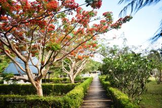 Coralview Island Resort - Tavewa - 9