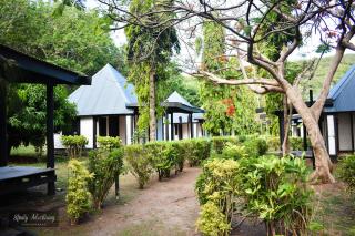 Coralview Island Resort - Tavewa - 7