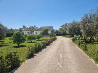 Casa en el campo cerca de sevilla - La Rinconada - 9