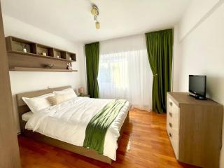 Valcea Northside Spacious Apartment - Râmnicu Vâlcea - 6