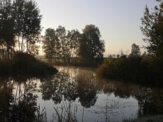 Borowy Zakątek - 4