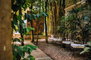 Miraselva Lodge - Puerto Iguazú - 7