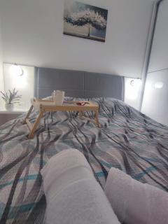 Apartman PINA Vrnjacka Banja - Vrnjačka Banja - 2