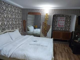 Cool studio with yard Iveria Sololaki - Tbilisi - 9
