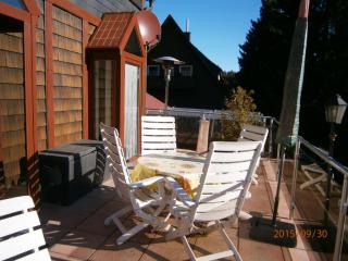 Paul Lincke Residenz - Hahnenklee-Bockswiese - 9