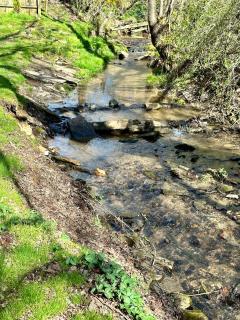 Cozy Creekside Cabin - Waynesville - 7
