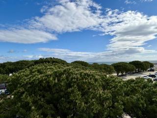 Appart 2 pièces, 4 pers, parking privé, proche plage et commerces - FR-1-225-813 - 2