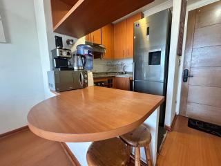 Private apartment in Santiago - 5