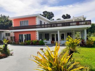 Pacific Paradise Villa - Sigatoka - 7