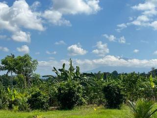 Ariwigangga Garden Guest House - Krambitan - 5