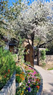 Rendezvous Resort Dharamshala - 8