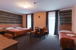 Hotel Pod Figurą - Ogrodzieniec - 2