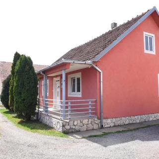 Daria's Countryside Home - Nikšić - 7