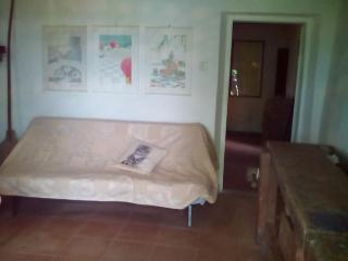 Casa nel bosco a 10 minuti da Pistoia - - 7