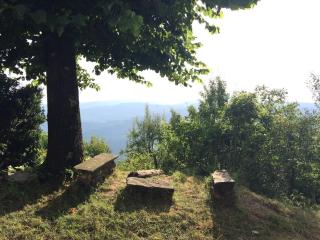 Casa nel bosco a 10 minuti da Pistoia - - 6