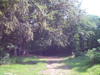 Casa nel bosco a 10 minuti da Pistoia - - 4