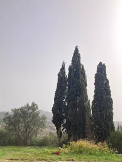 Kokkini Peach House - 1