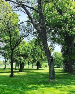 As seen on A New Life in The Sun - Beautiful 3 bedroom cottage with shared pool - 3