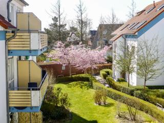 Residenz am Strand - 2-Raum Apartment - Zingst - 1