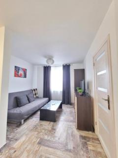 Giedres Kalnieciu apartments 1 - Kaunas - 9