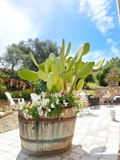 Appartamento Castel Sant'Angelo - 8