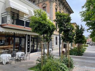 Hotel Central Giacomini - Salò - 9