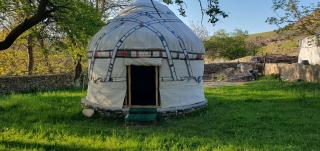 Kakhar Yurt stay & Mountain village - 6