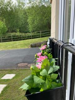 2 Bed Apartment - Near to Sherwood Forest - Ollerton - 9