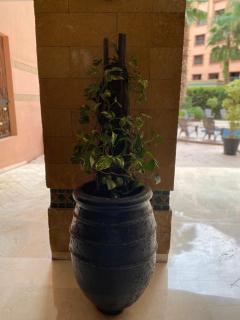 Résidence Caprice Palace Hivernage - Marrakesh - 4