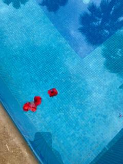 Résidence Caprice Palace Hivernage - Marrakesh - 3