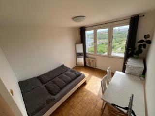 Private room in a shared park-side apartment with a great connection to the city center - Prague - 6