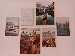 Haus Wiesenquelle - Fewo 14 "Timeout", Feldberg - 1